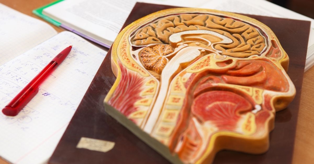 5 tips voor biologie