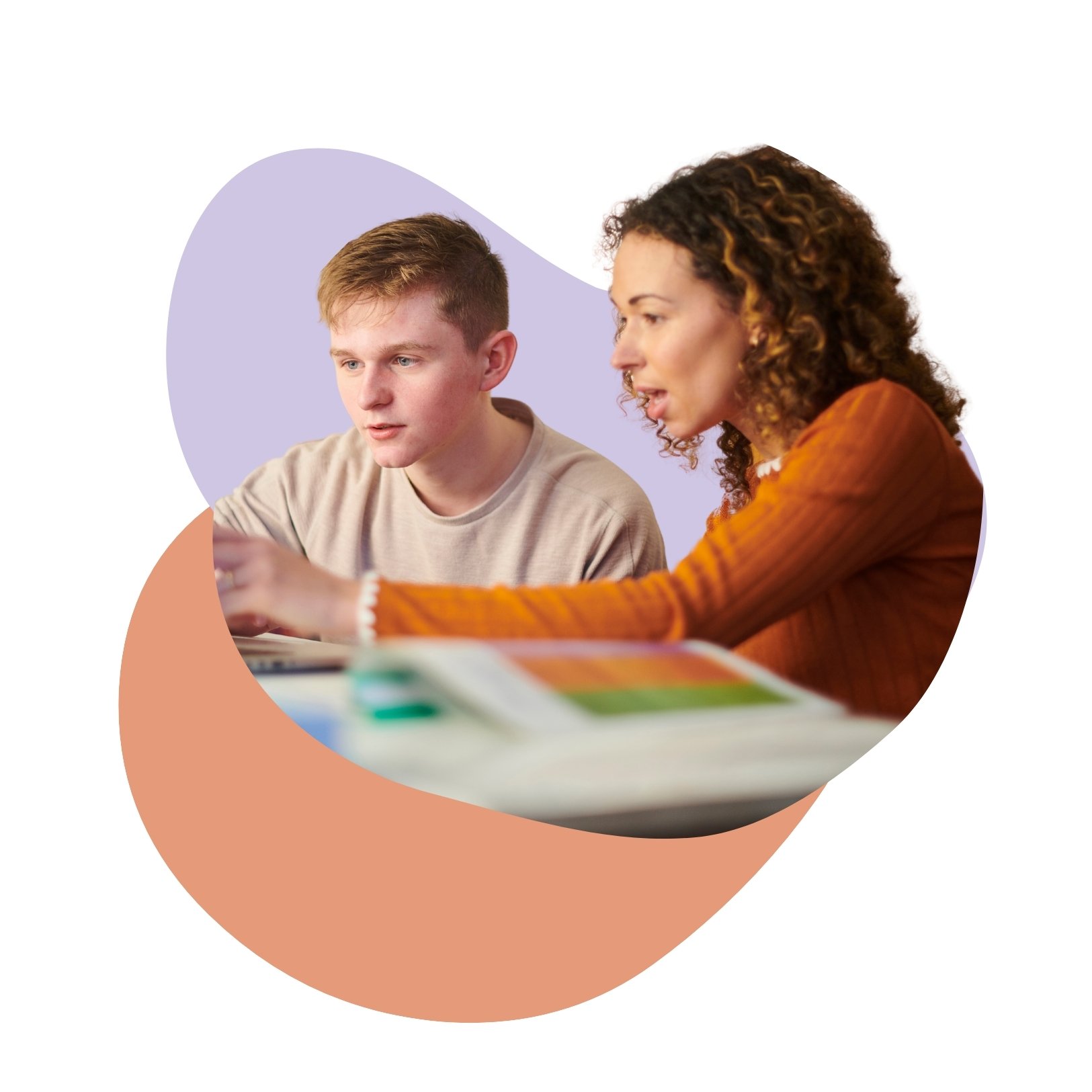 Bijlesprof bijles geven